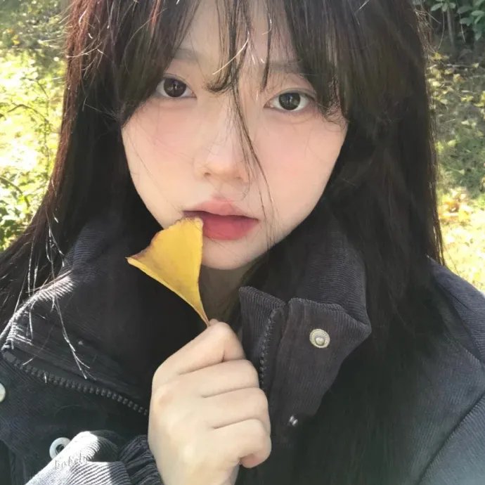 野狗们